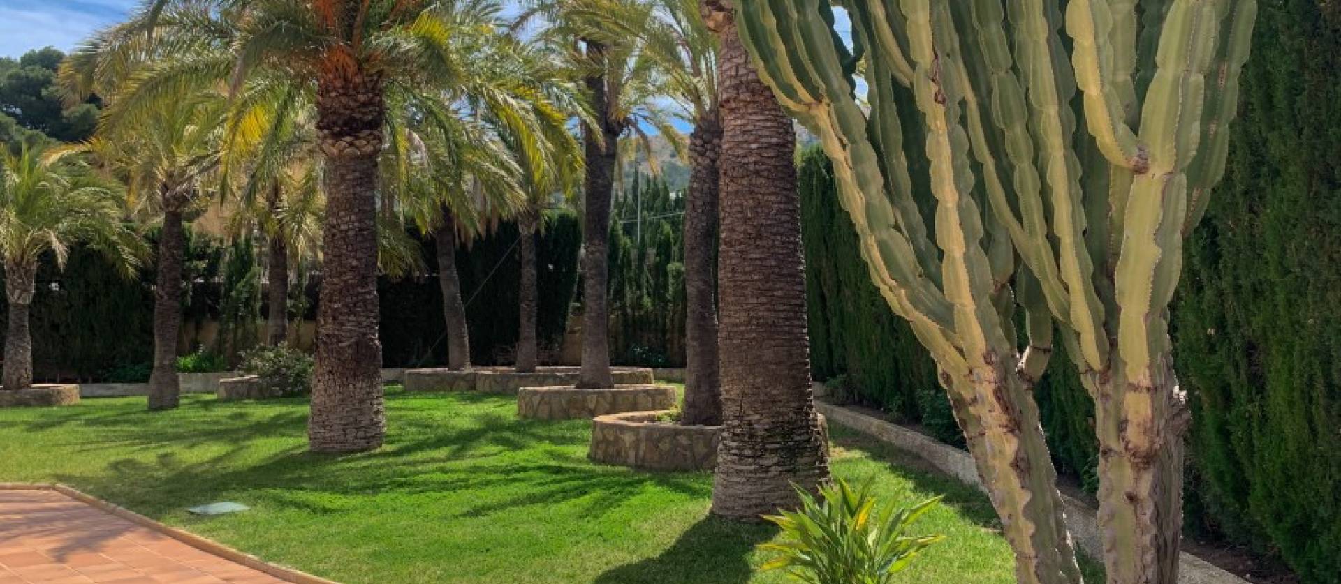 Revente - Villa - Albir