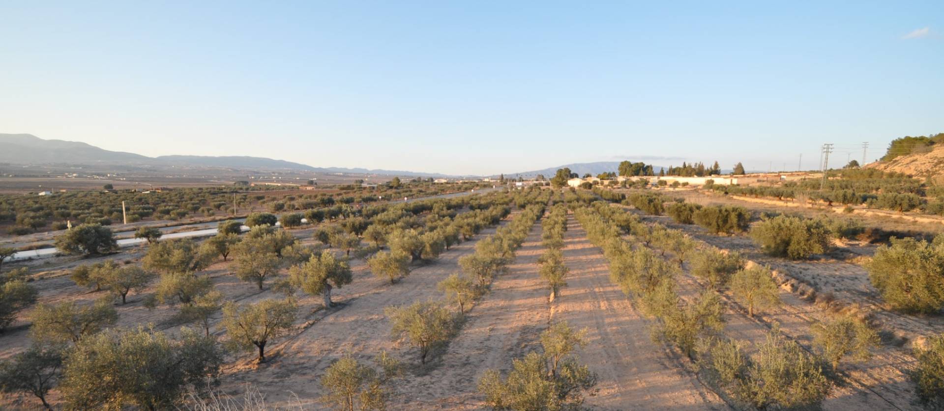 Bestaande woningen - Land - Pinoso