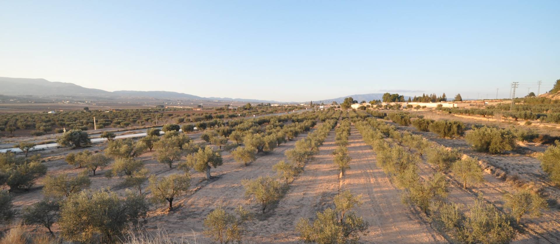 Bestaande woningen - Land - Pinoso