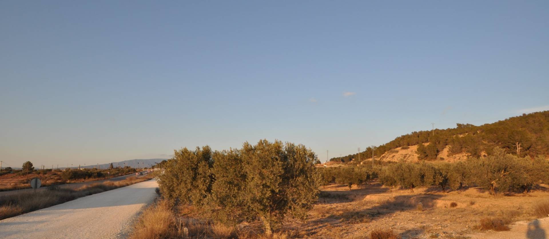 Bestaande woningen - Land - Pinoso