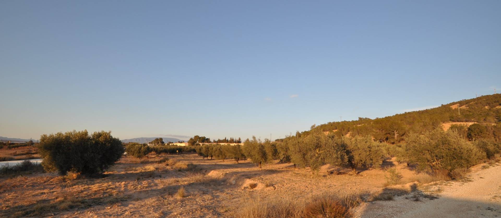 Bestaande woningen - Land - Pinoso