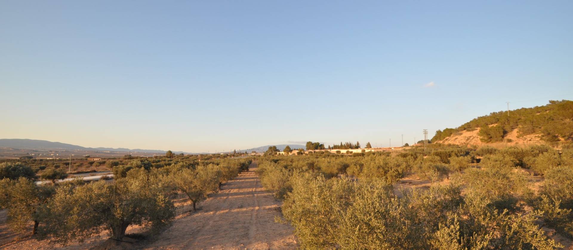 Bestaande woningen - Land - Pinoso