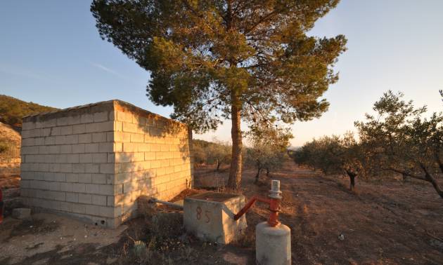 Bestaande woningen - Land - Pinoso