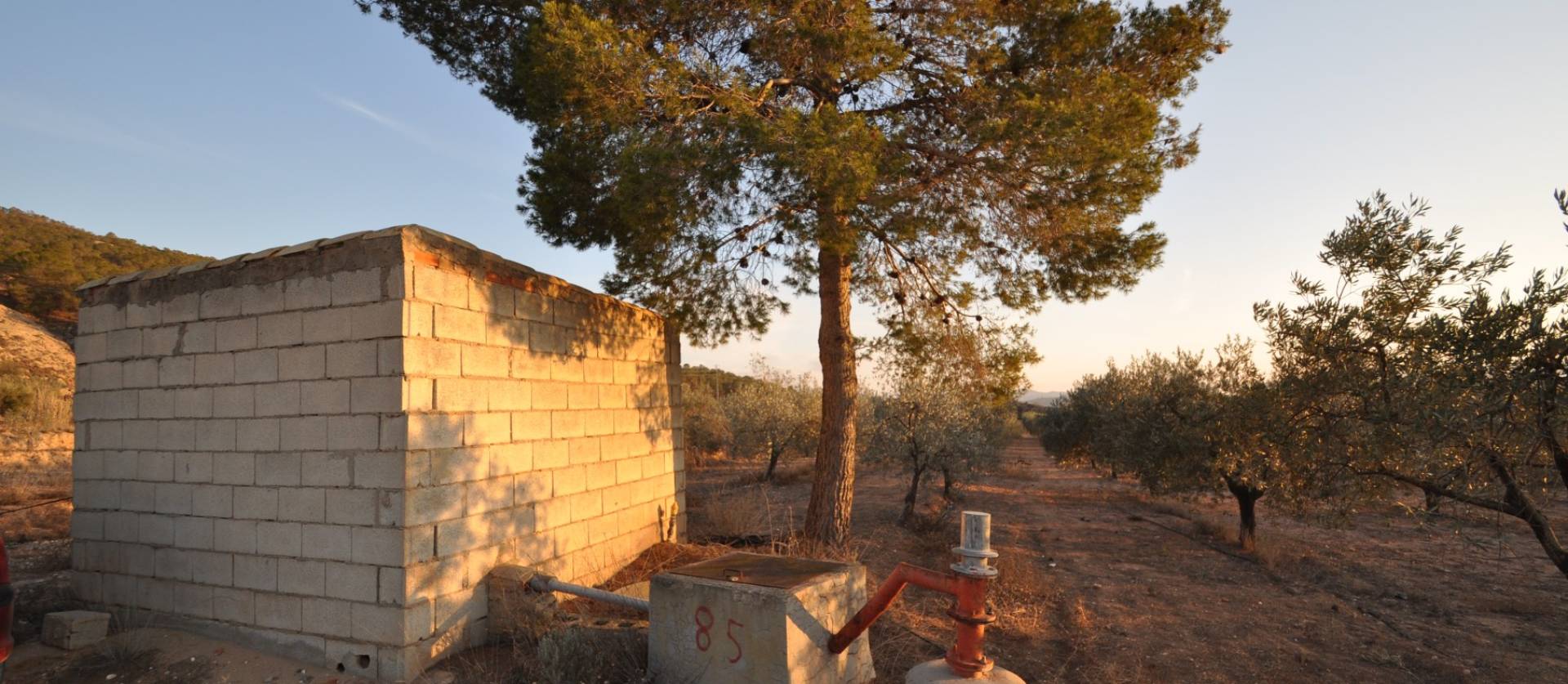 Bestaande woningen - Land - Pinoso