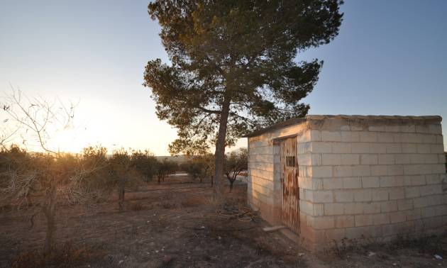 Bestaande woningen - Land - Pinoso