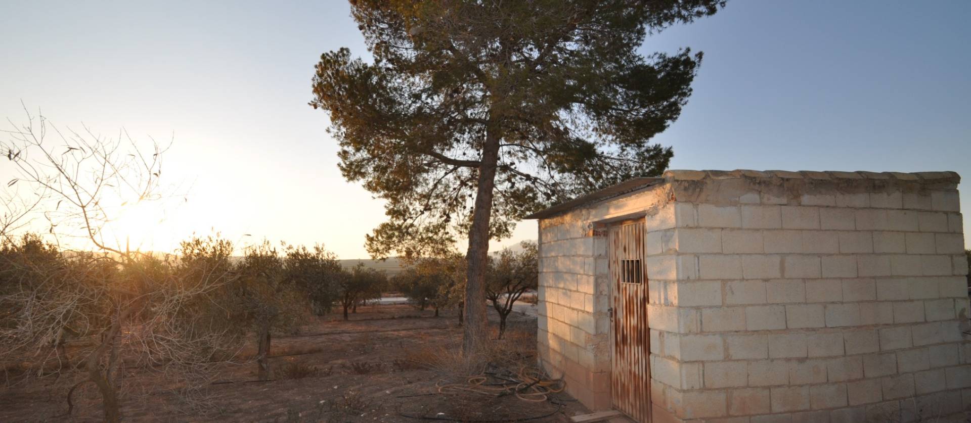 Bestaande woningen - Land - Pinoso