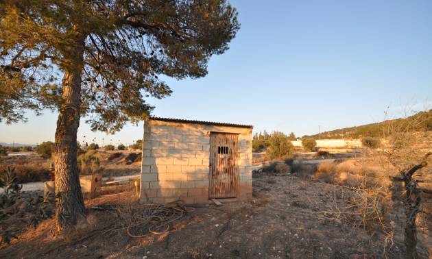 Bestaande woningen - Land - Pinoso