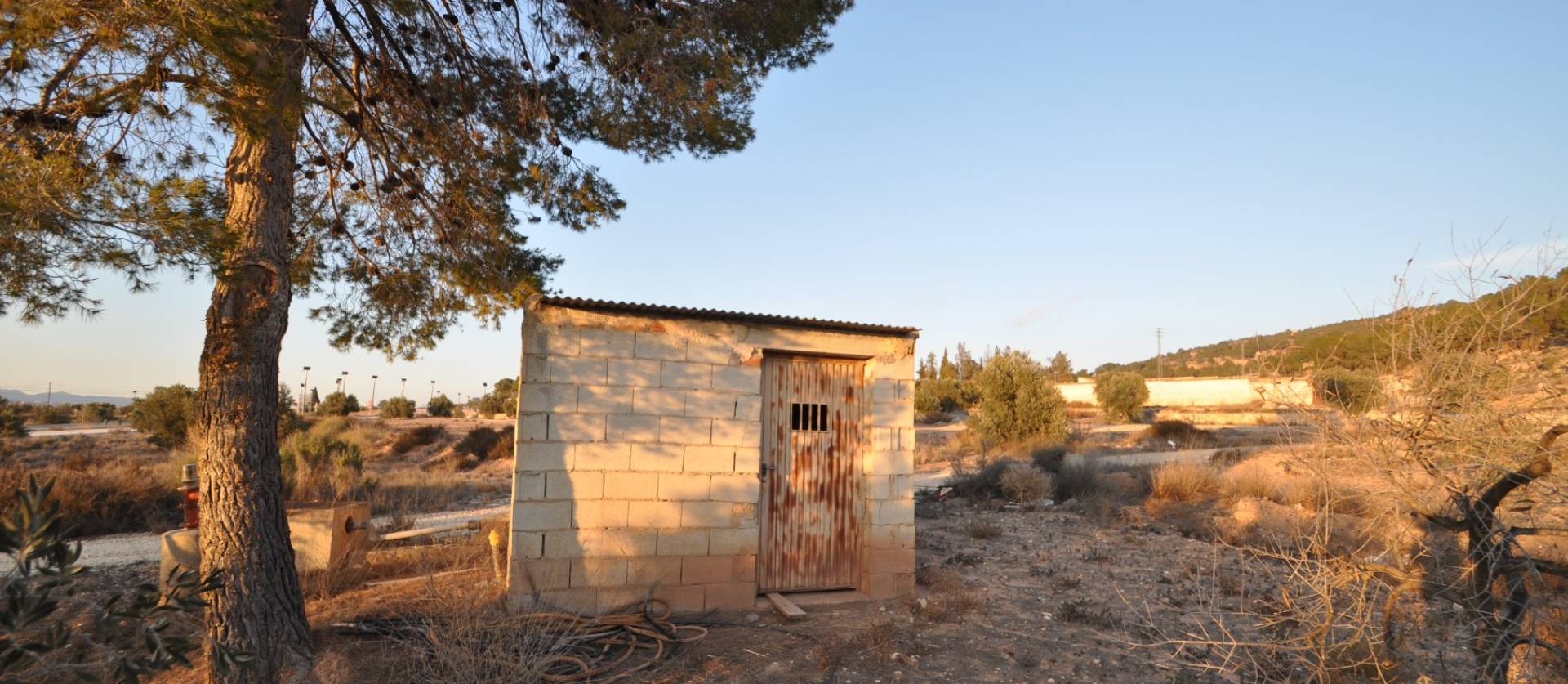 Bestaande woningen - Land - Pinoso