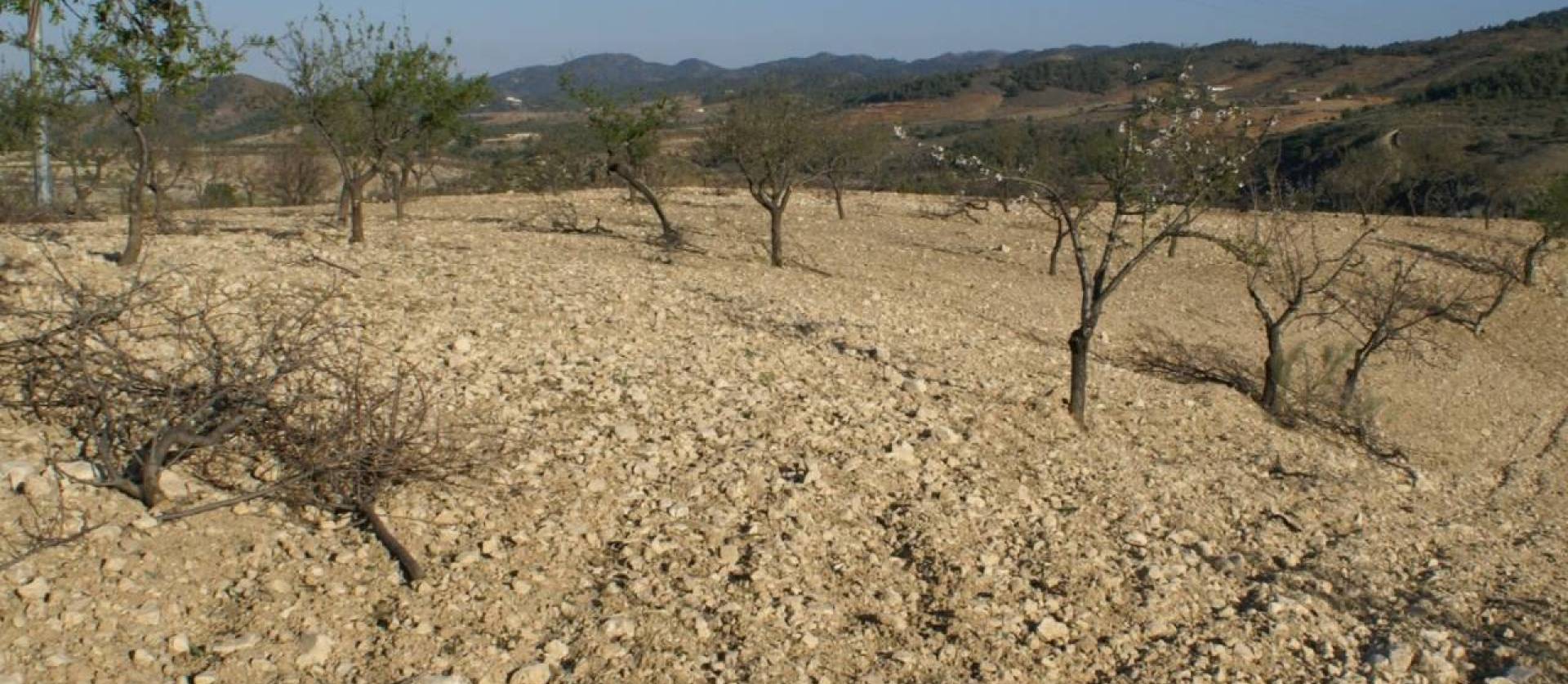 Sale - Land - Murcia