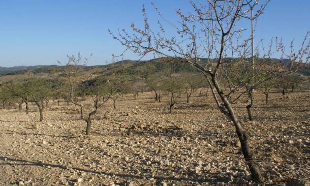 Sale - Land - Murcia