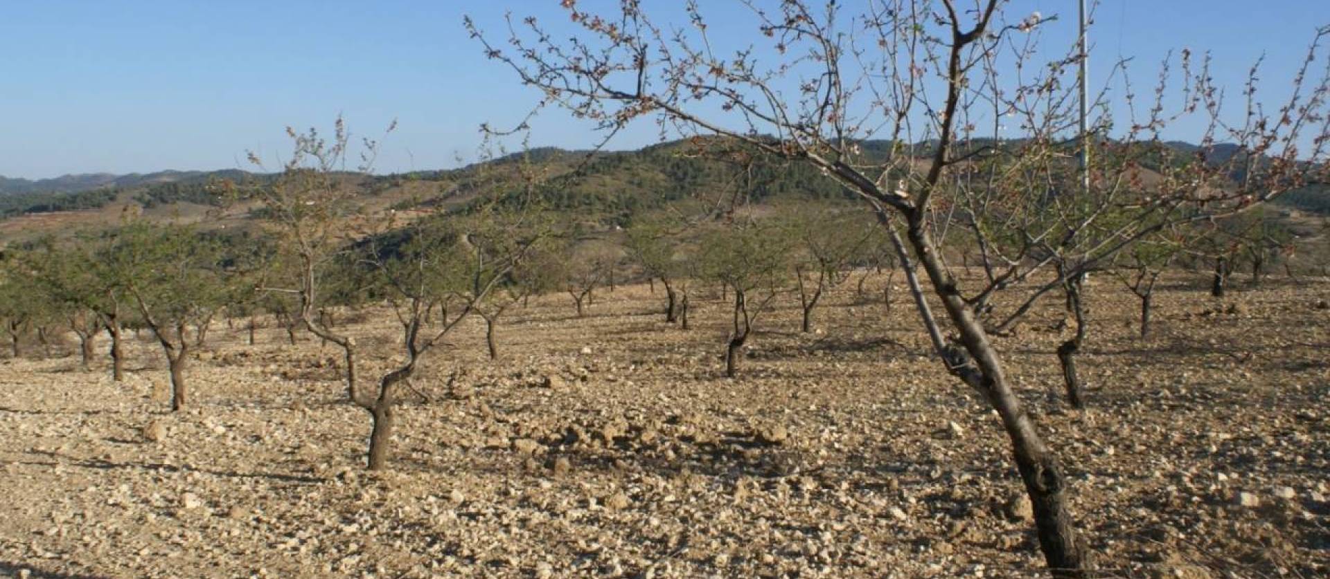 Sale - Land - Murcia