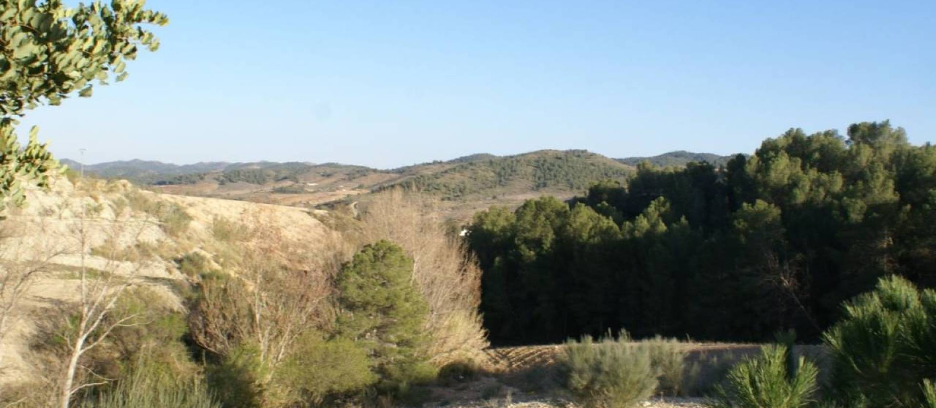 Sale - Land - Murcia