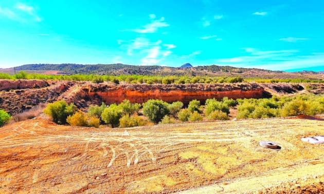 Bestaande woningen - Villa - Macisvenda