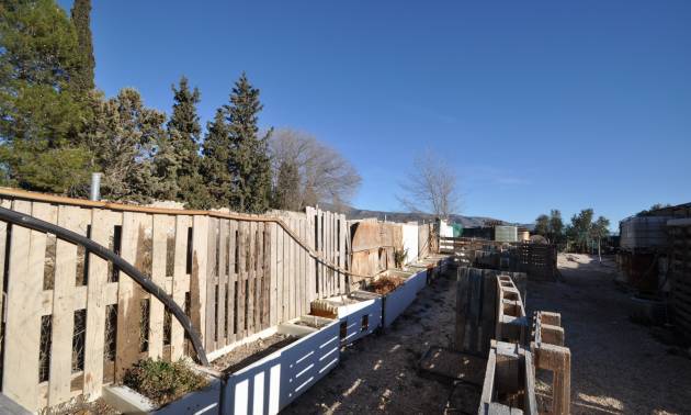 Bestaande woningen - Land - Pinoso