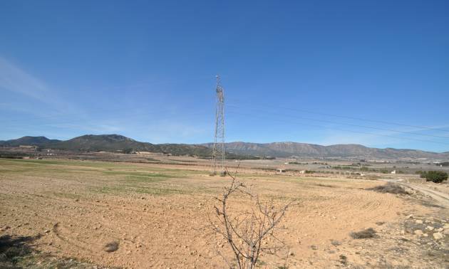 Revente - Land - Salinas