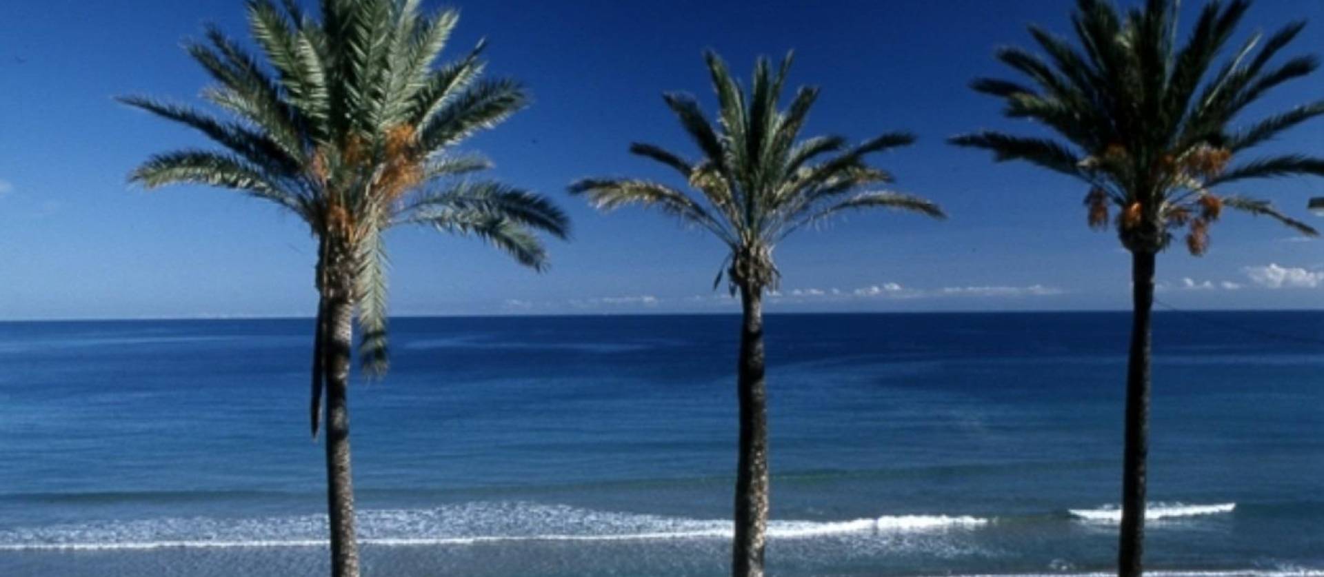 New Build - Bungalow - Pilar de la Horadada - Parque Ramon eugenio Escudero