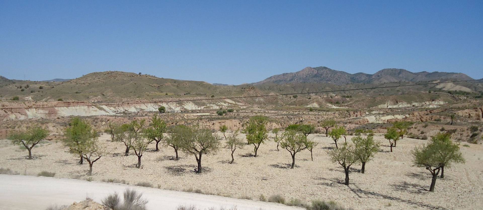 Revente - Land - Abanilla