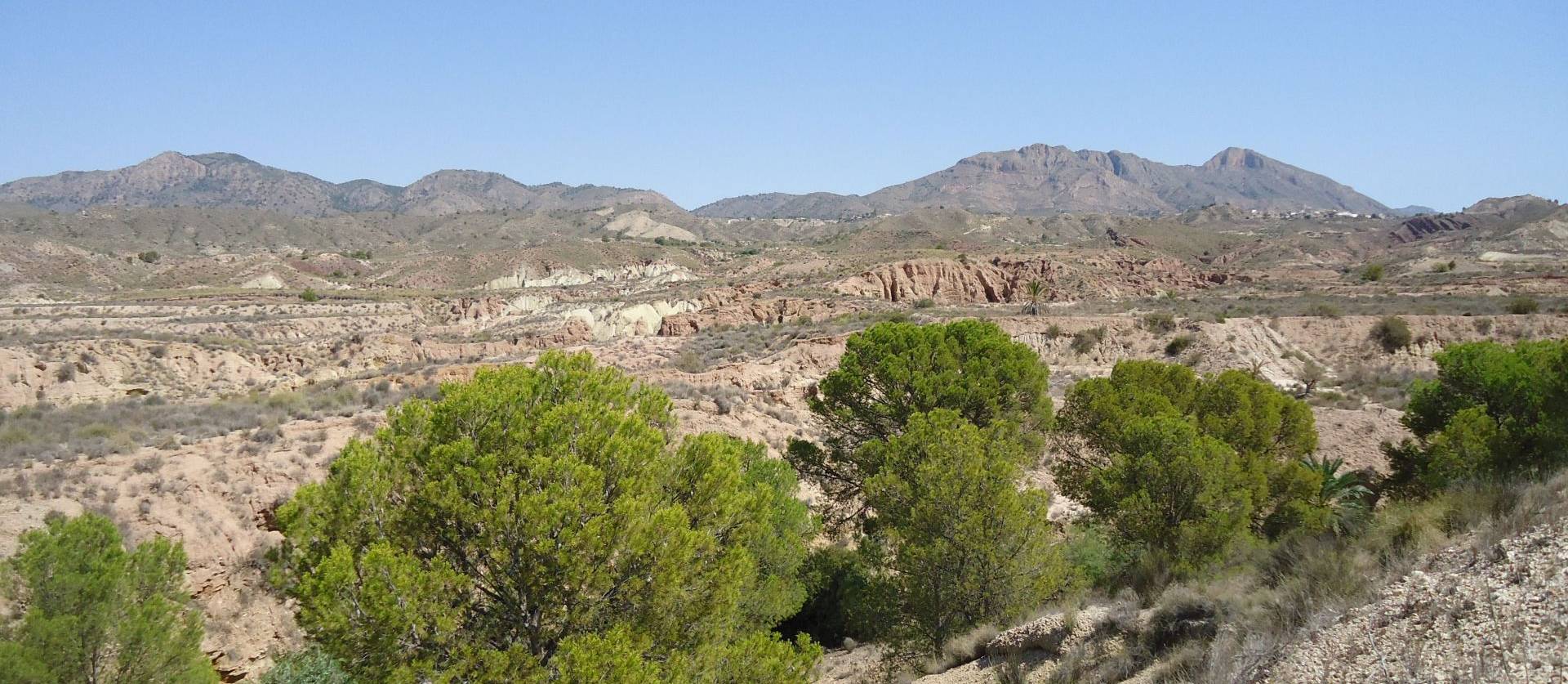 Revente - Land - Abanilla