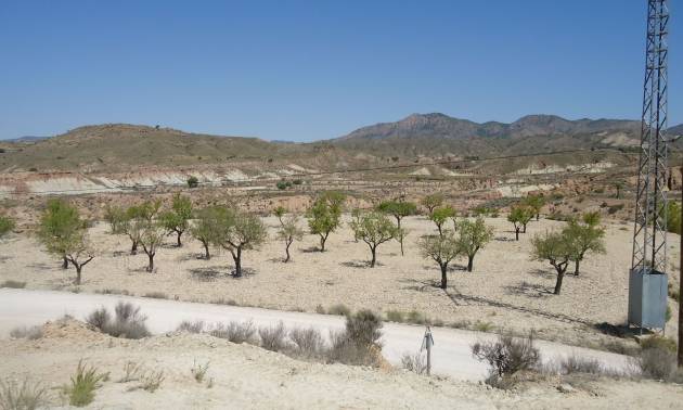 Revente - Land - Abanilla