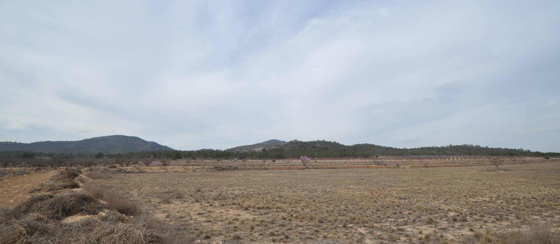 Bestaande woningen - Land - Monovar