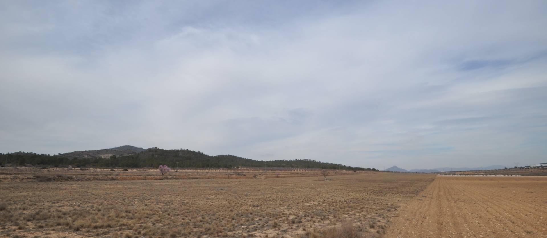 Bestaande woningen - Land - Monovar