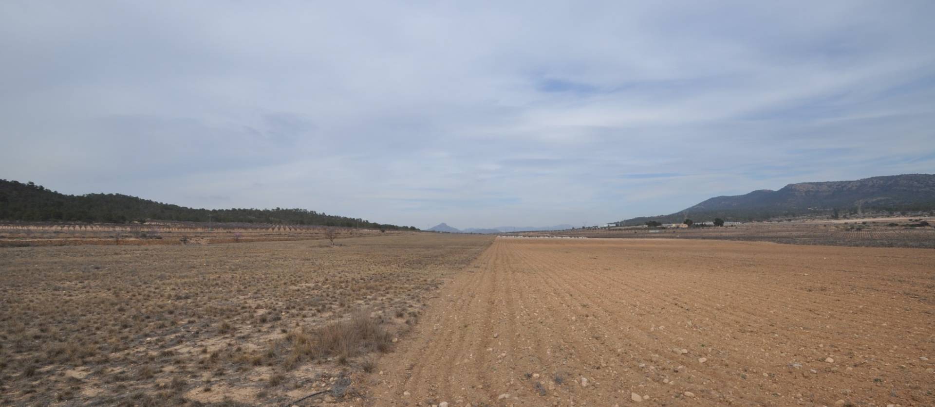 Bestaande woningen - Land - Monovar