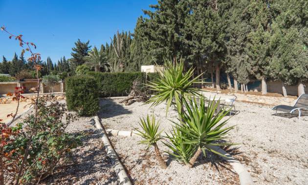 Sale - Country House - Los Montesinos