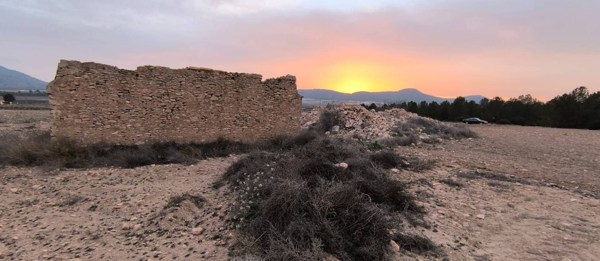 Venta - Land - Yecla