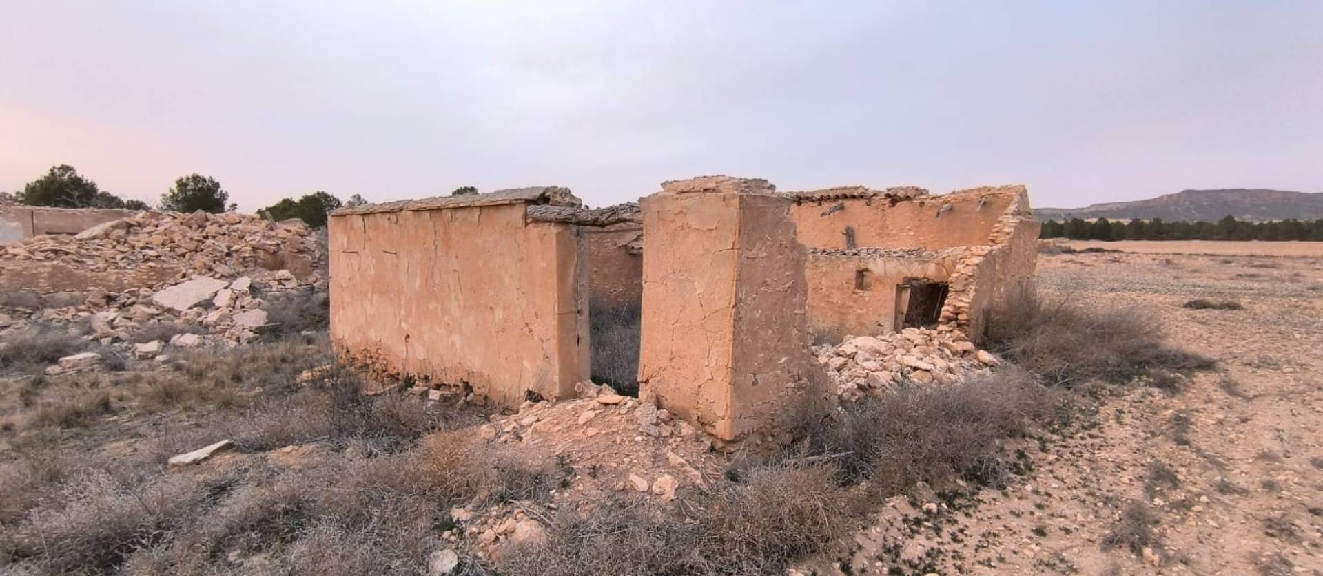 Venta - Land - Yecla