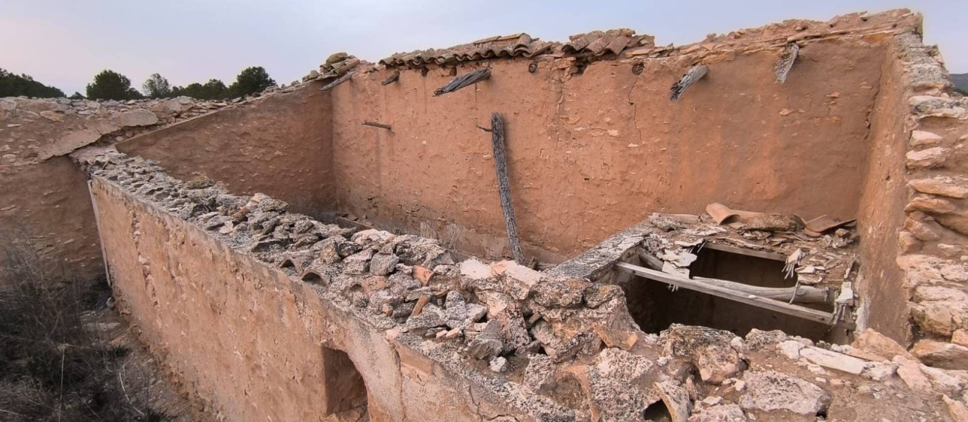 Venta - Land - Yecla