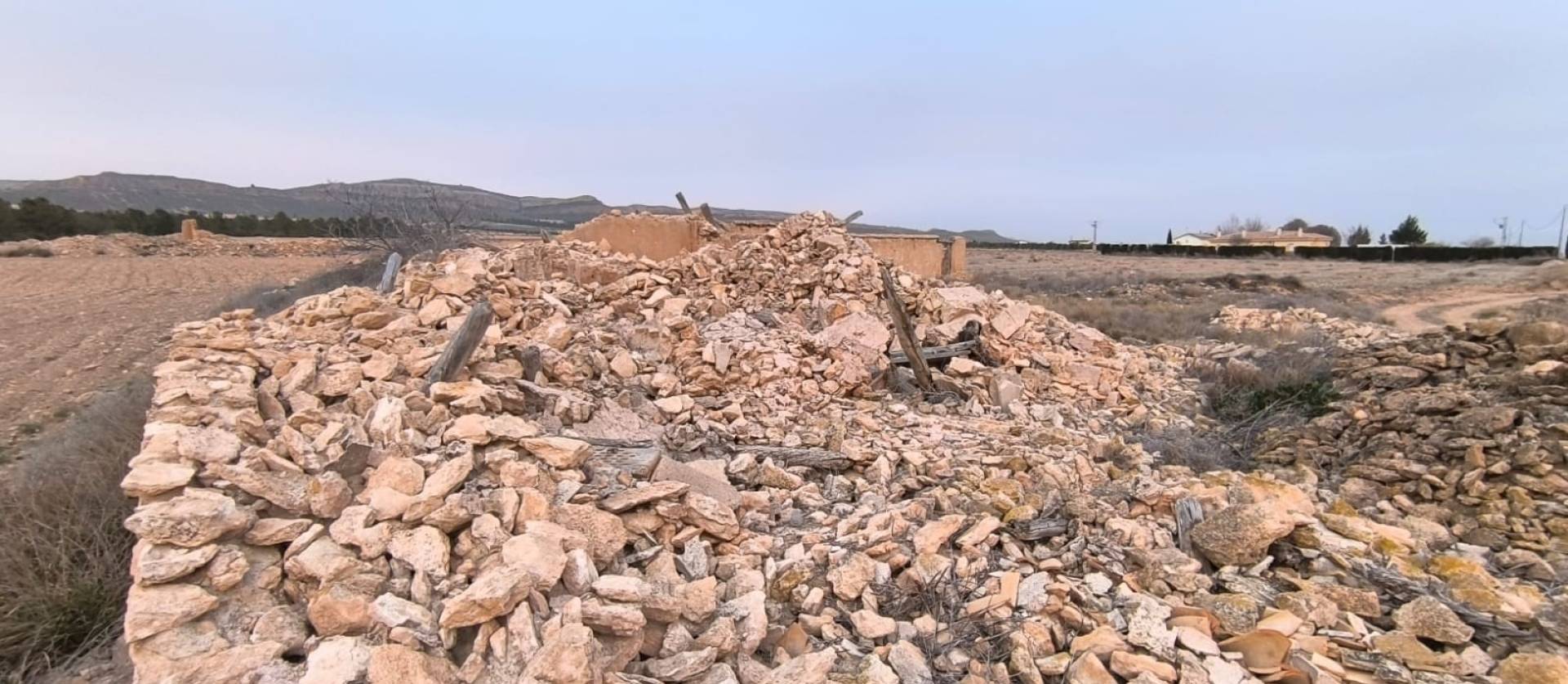 Venta - Land - Yecla