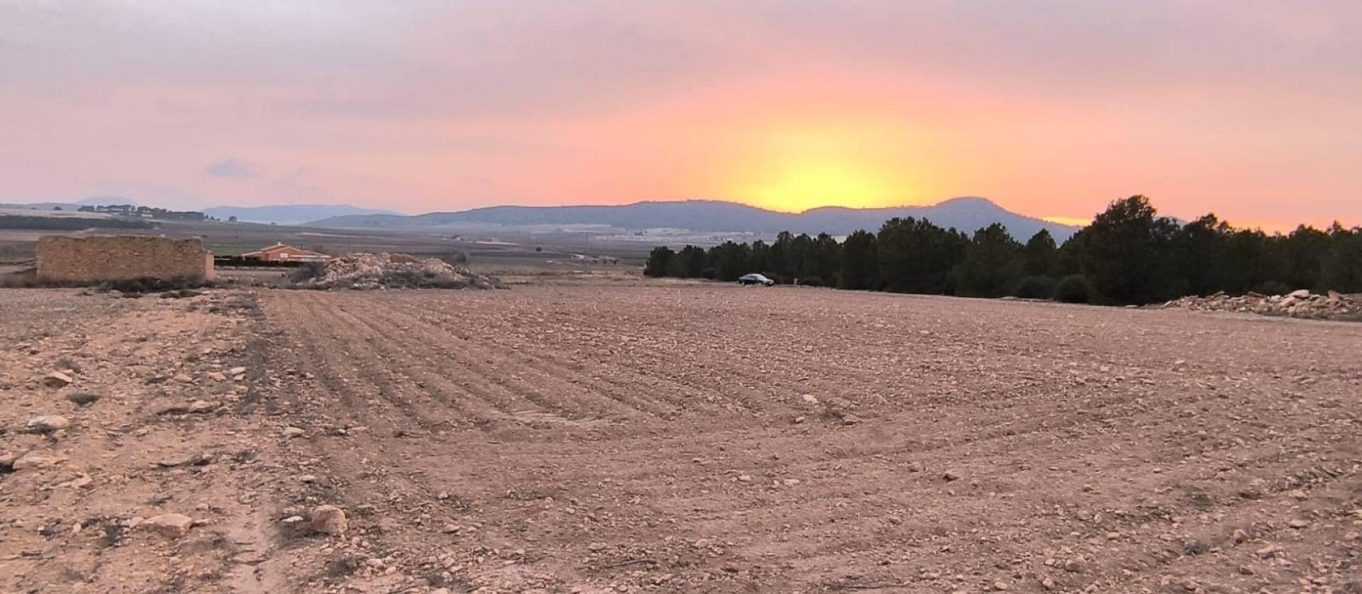 Venta - Land - Yecla