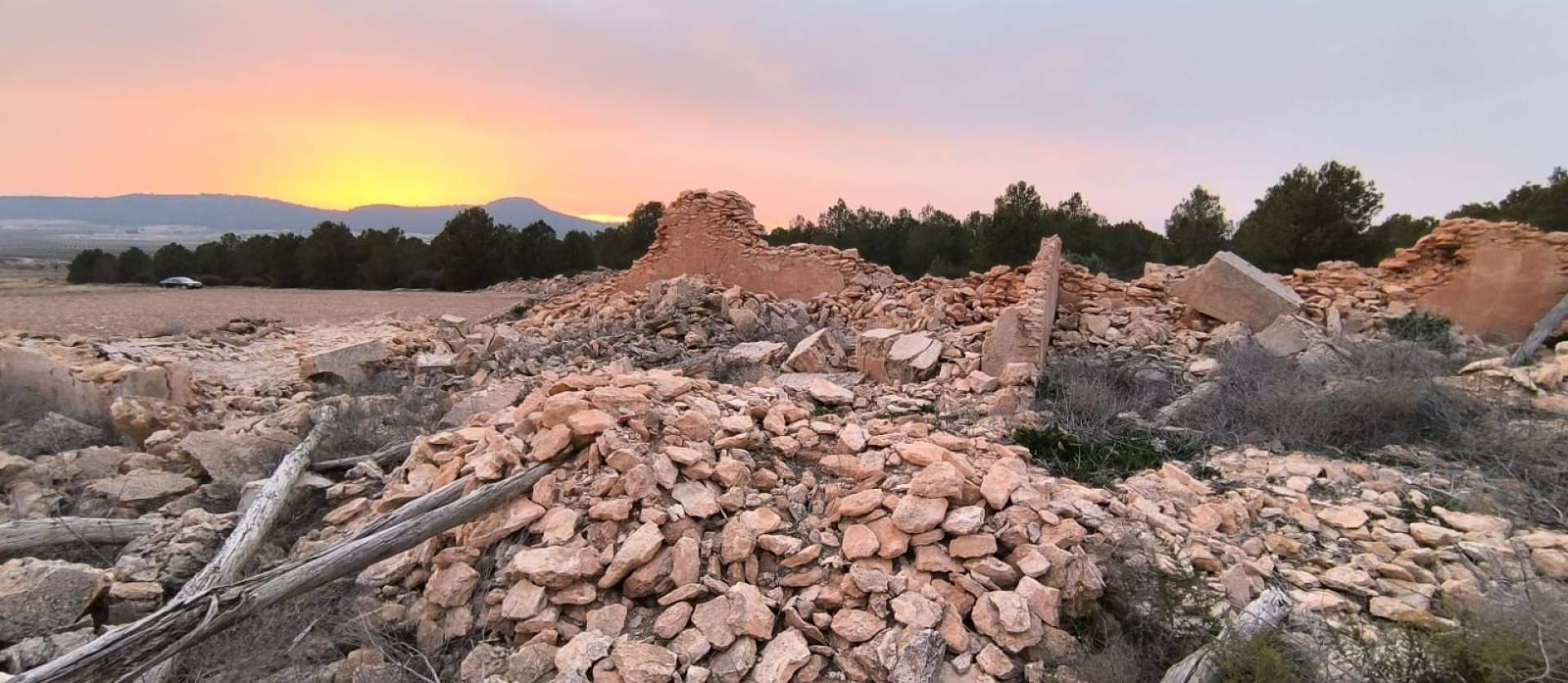 Venta - Land - Yecla