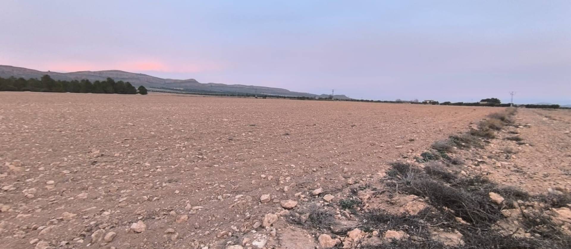 Venta - Land - Yecla