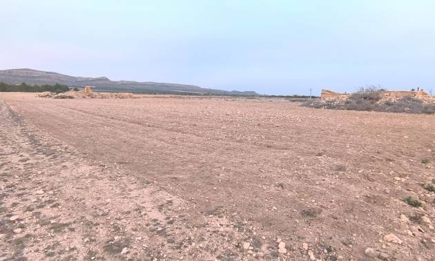 Venta - Land - Yecla