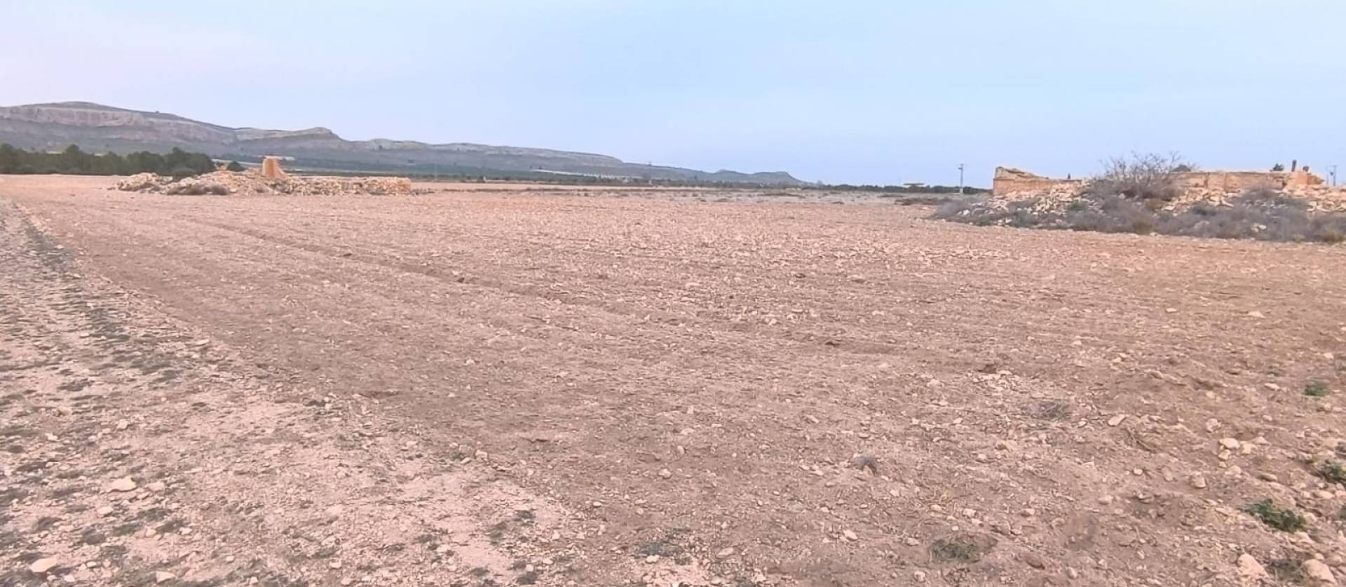 Venta - Land - Yecla