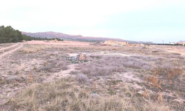 Venta - Land - Yecla