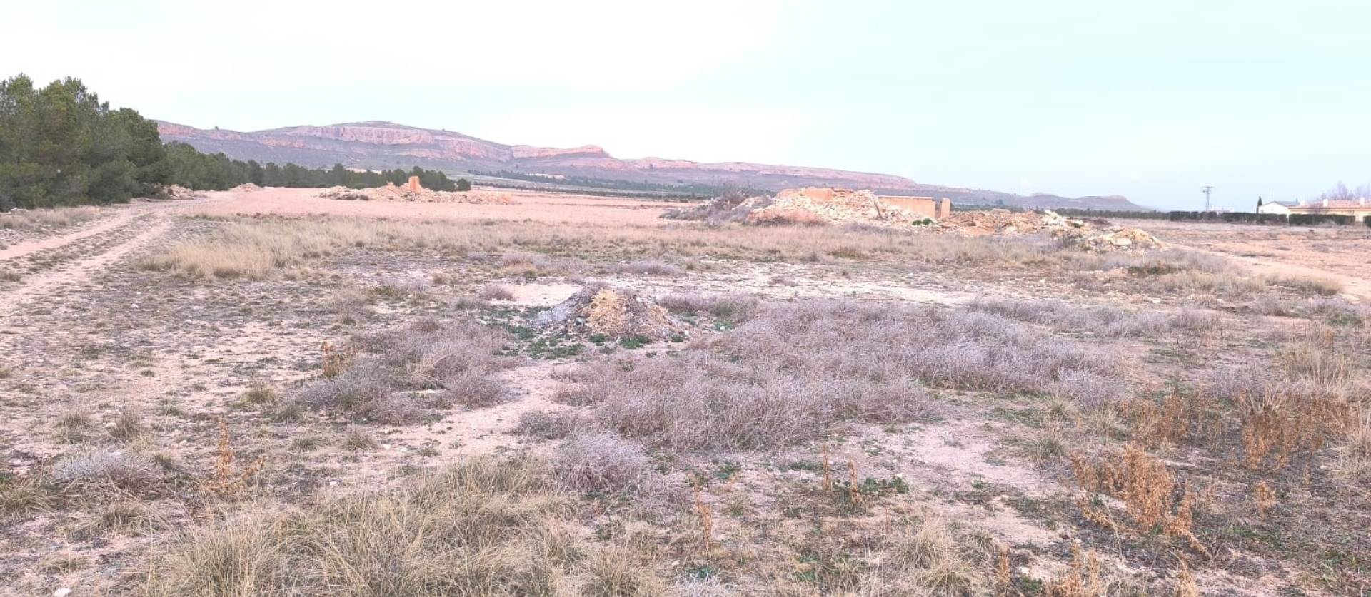 Venta - Land - Yecla