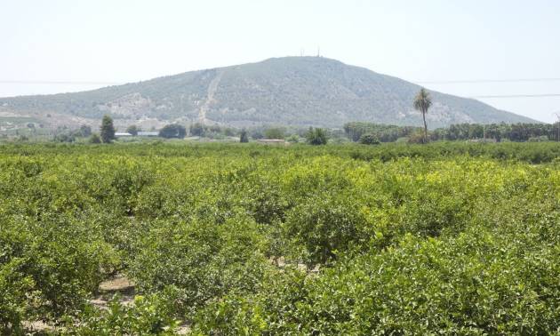 Revente - Villa - Bigastro