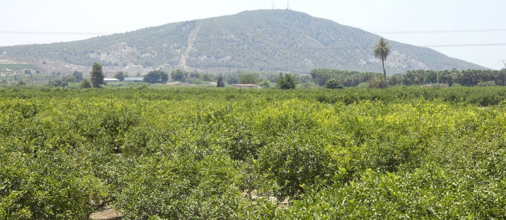 Revente - Villa - Bigastro