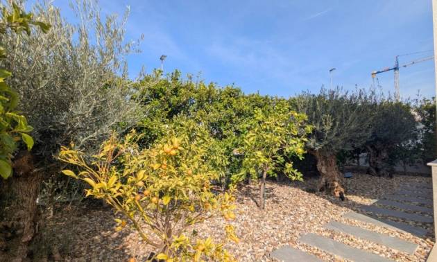 Revente - Villa - Benijofar