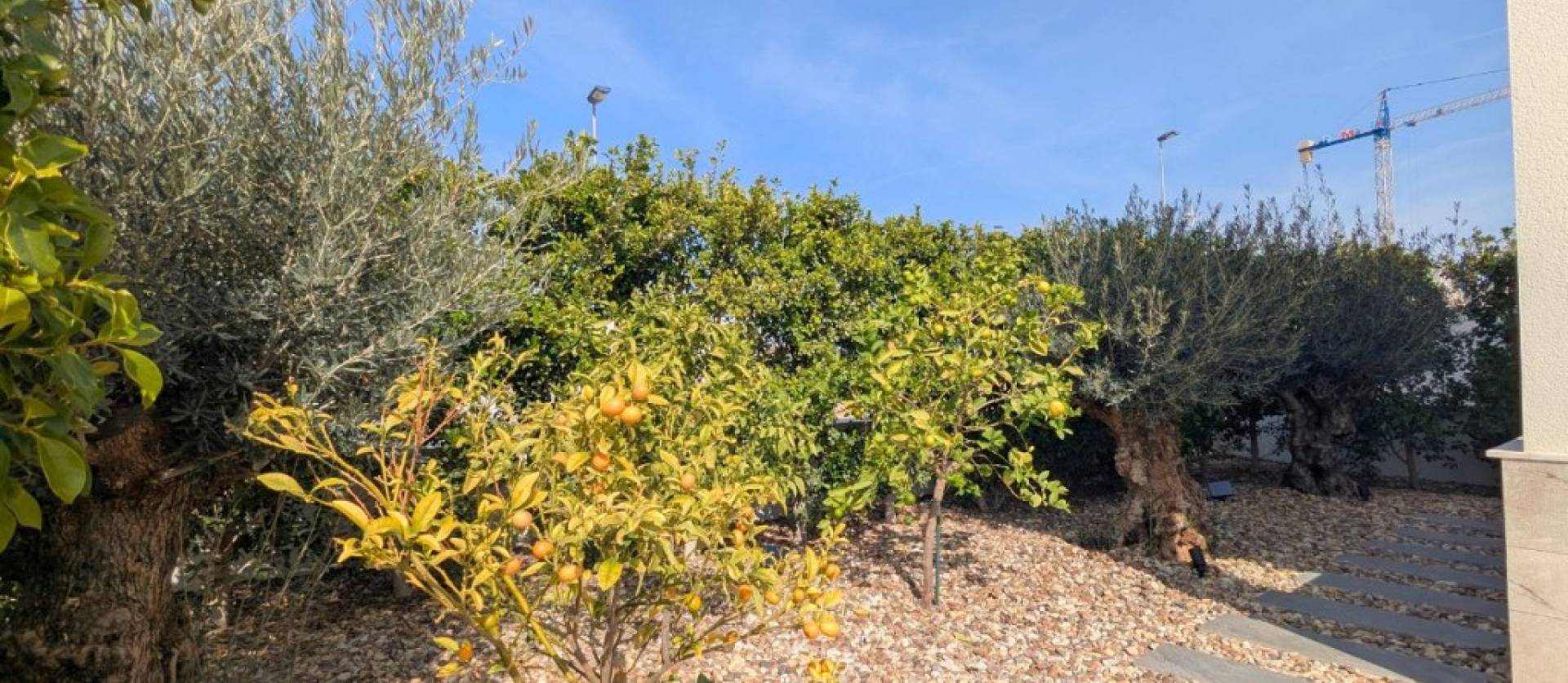 Revente - Villa - Benijofar