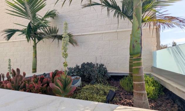 Revente - Villa - Benijofar