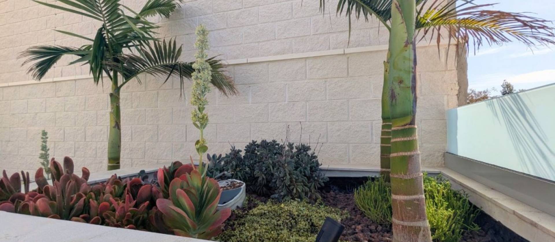 Revente - Villa - Benijofar