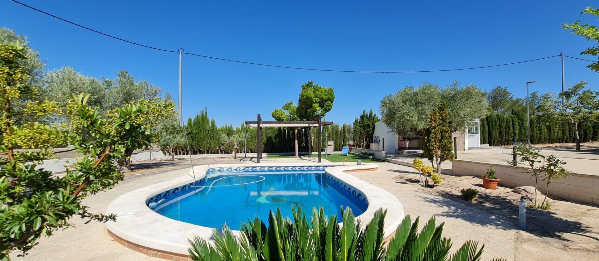 Sale - Villa - Yecla