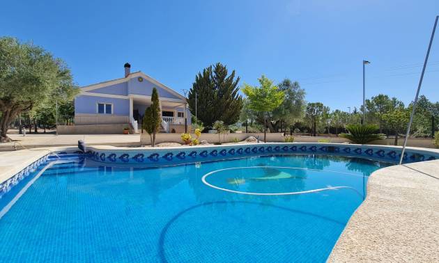 Sale - Villa - Yecla