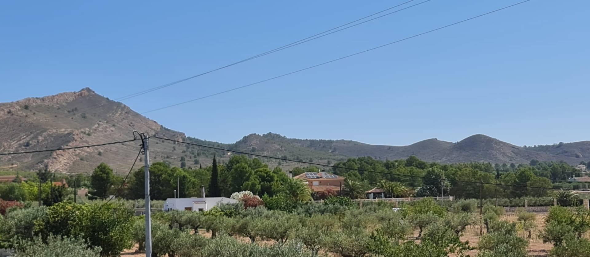 Sale - Villa - Yecla