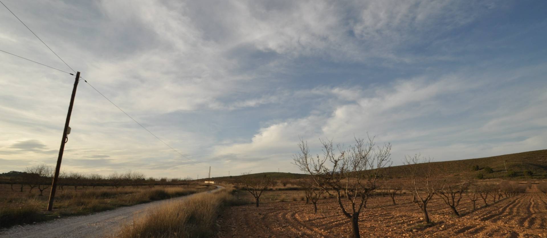 Revente - Land - Abanilla