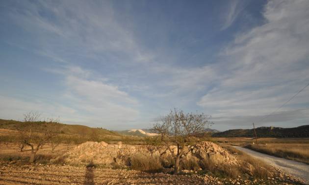 Revente - Land - Abanilla