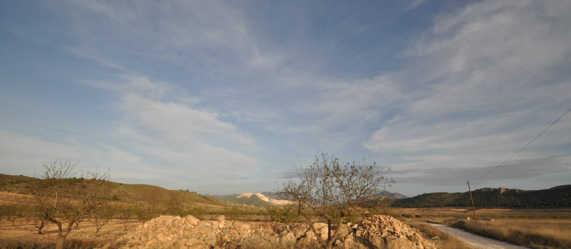 Revente - Land - Abanilla